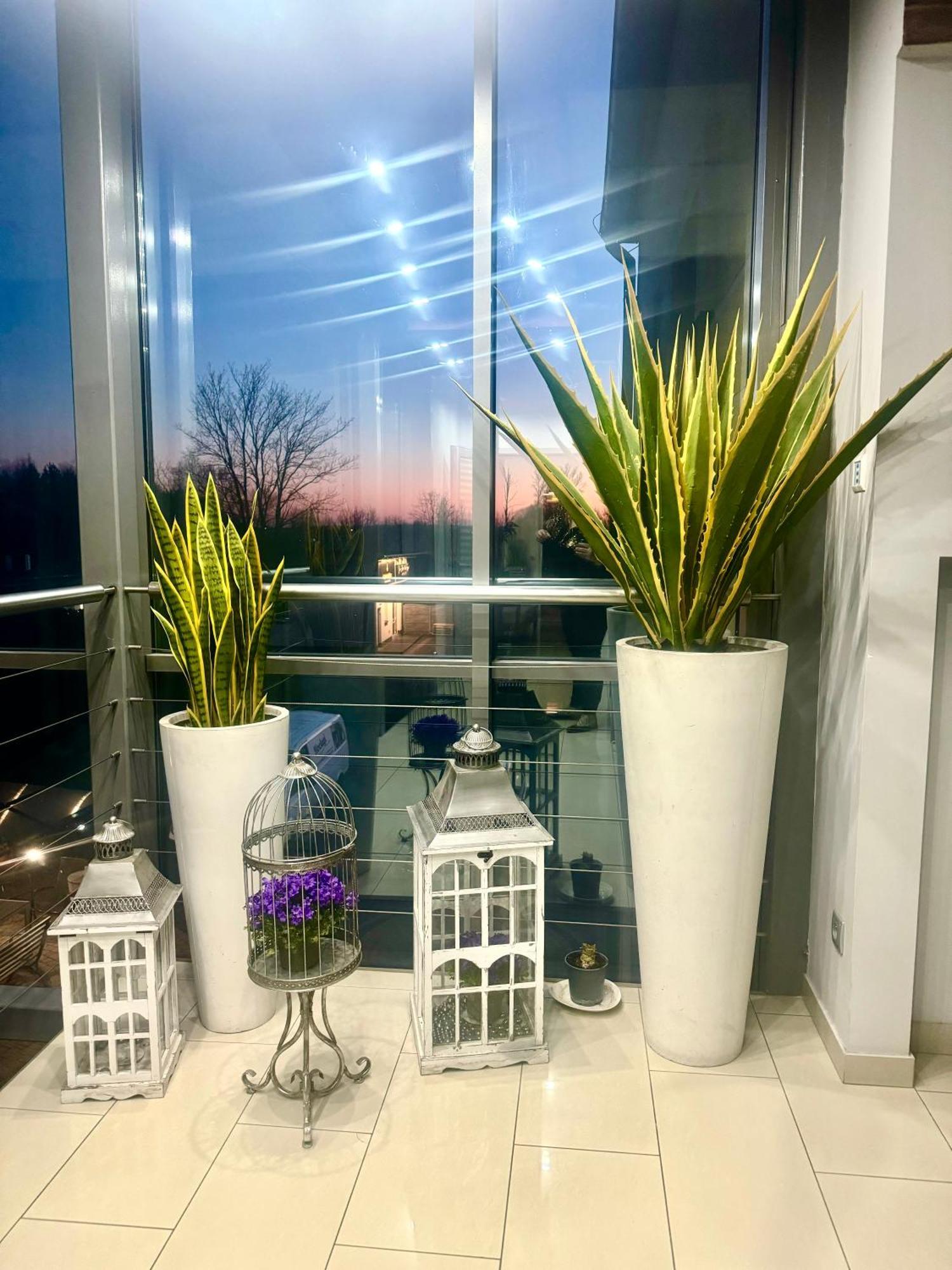Konstantynów Łódzki Apartamenty I Pokoje „Pod Jedynka” מראה חיצוני תמונה