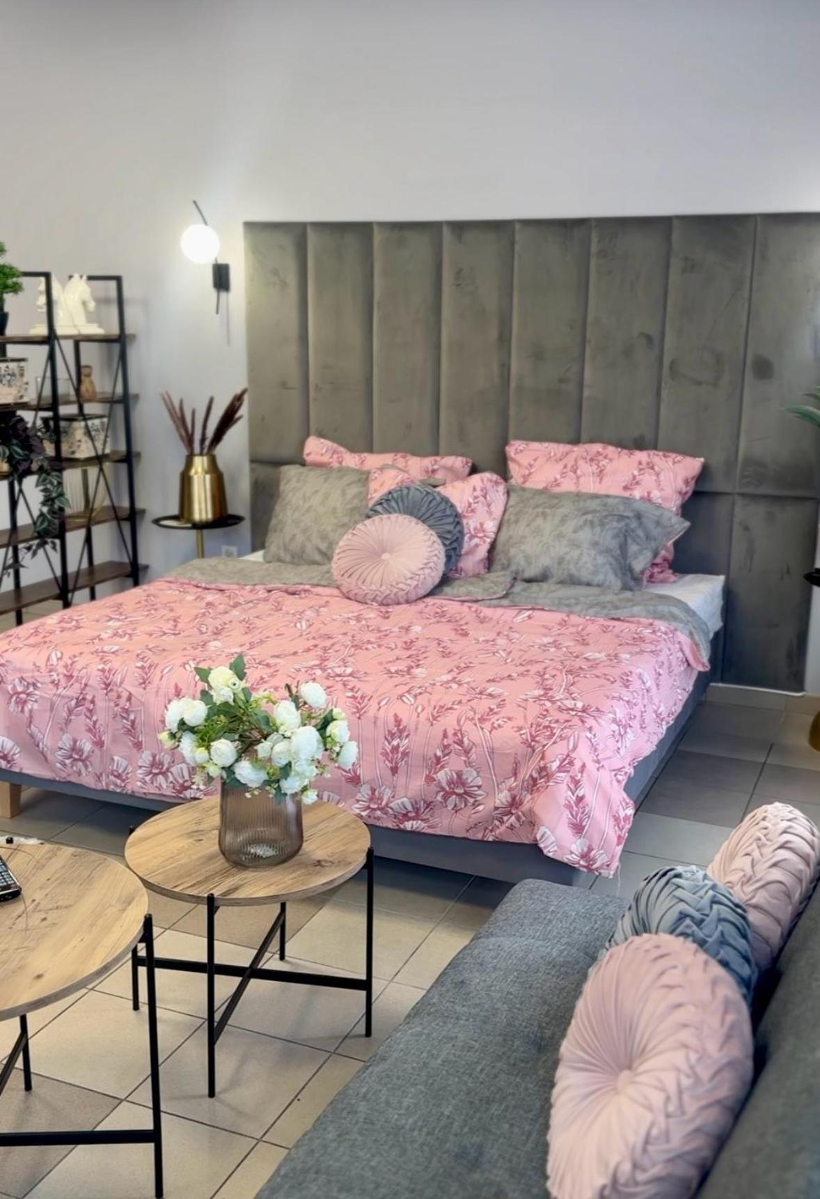 Konstantynów Łódzki Apartamenty I Pokoje „Pod Jedynka” מראה חיצוני תמונה